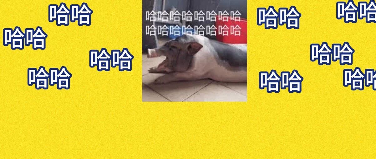 哈哈哈哈哈哈哈哈我笑到新年刚立的flag差点被刮到南极洲