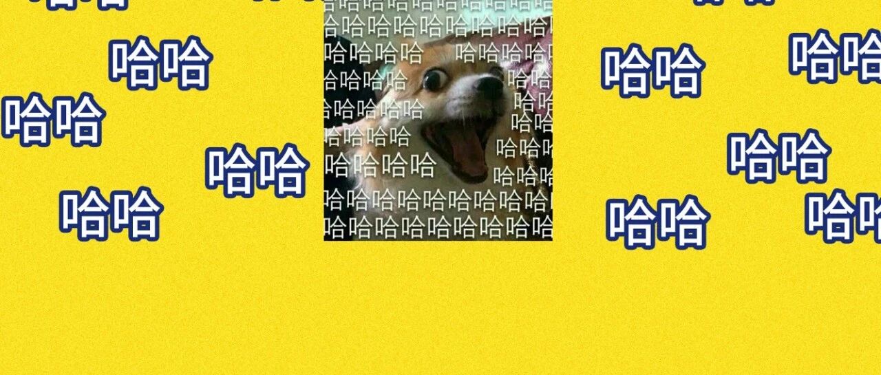 哈哈哈哈哈哈我笑到四肢做起了布朗运动并且被迫消耗大量热量