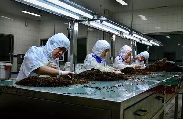 高铁盒饭凭什么那么贵？755 / 作者:登山涉水 / 帖子ID:258982