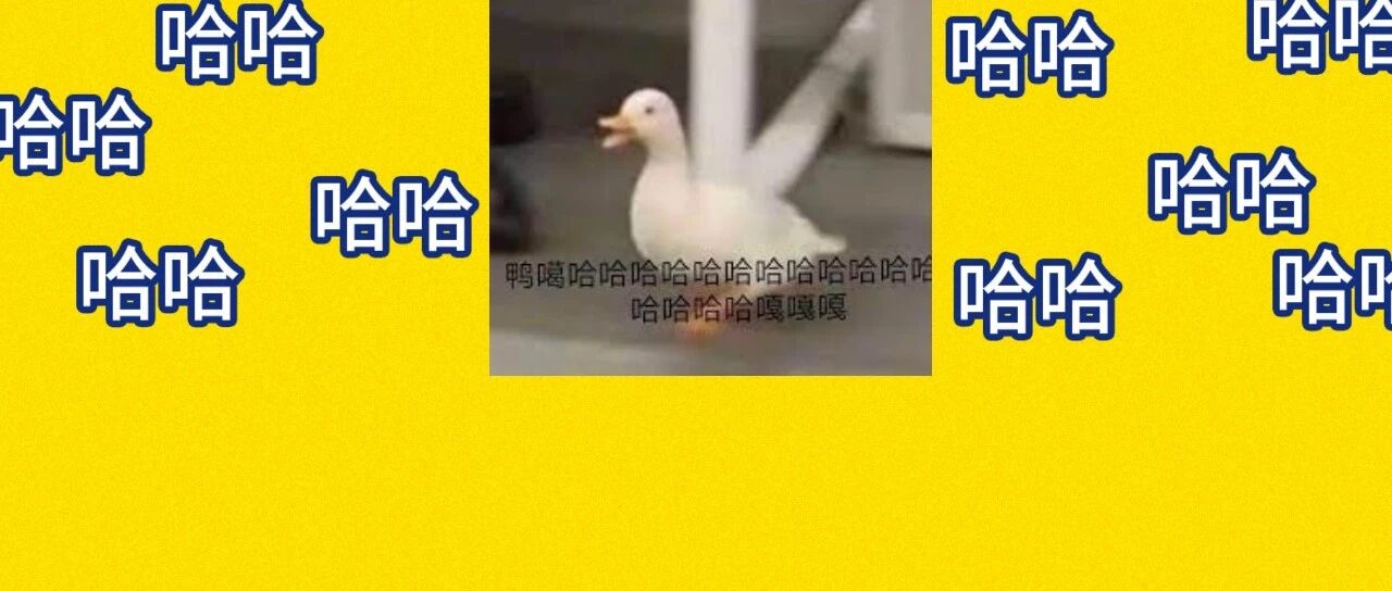 哈哈哈哈哈哈我直接酷笑以至于玩具店老板追问我在哪进货的尖叫鸡