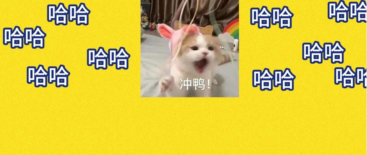 哈哈哈哈哈哈我笑到准备冬眠的兔子跑回来专门只为踹我一脚