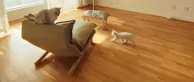 好家伙！这是我见过的断舍离最狠的人！