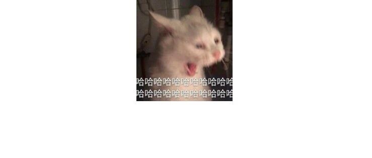 哈哈哈哈哈哈哈我笑到月球上砍树的吴刚把斧子扔回地球让我闭嘴