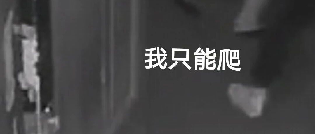 花季少女在真人NPC密室逃脱中被吓出返祖现象