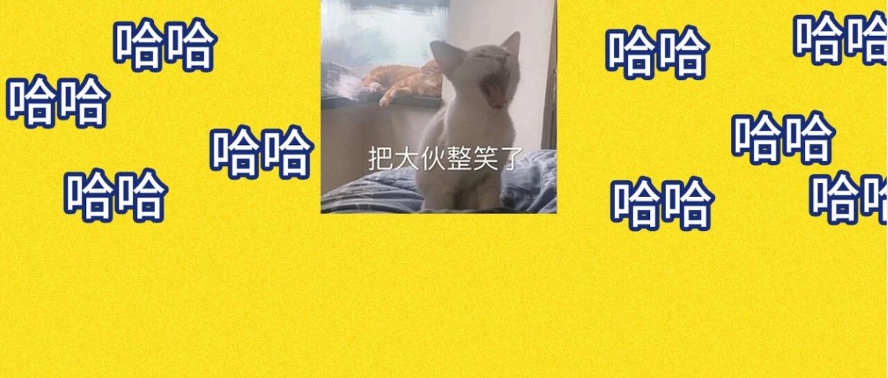 哈哈哈哈哈哈我笑到隔壁大妈敲门来问杀鹅动静能不能小点