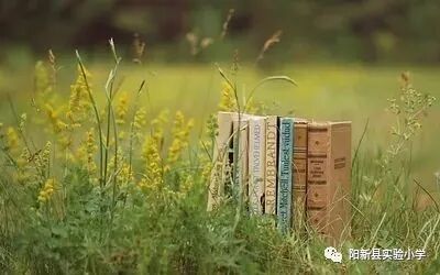 上学找关系找谁管用_上学吧找答案_找海 豚 ，找答案