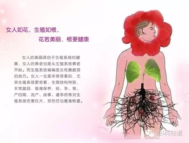 凝胶推入器怎么用🤗每晚1支凝胶，轻轻推入爱的通道_https://www.jmylbn.com_新闻资讯_第2张