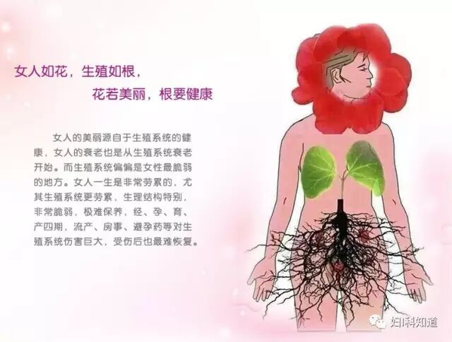 凝胶推入器怎么用‼️每晚1支凝胶，轻轻推入爱的通道！_https://www.jmylbn.com_新闻资讯_第4张