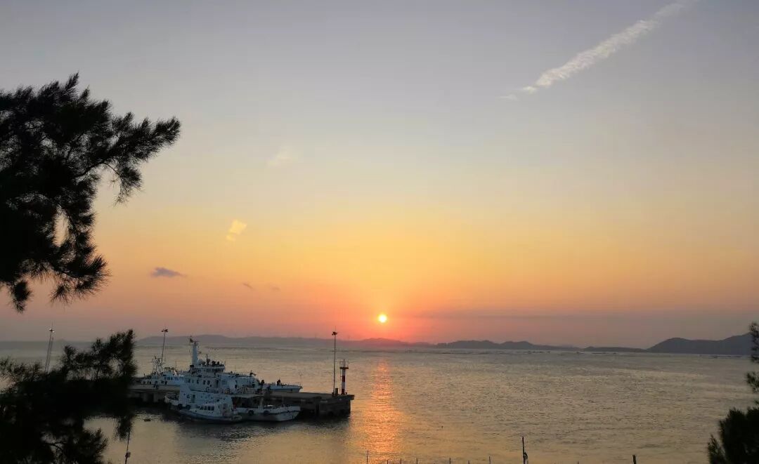 中华白海豚回归饶平柘林湾