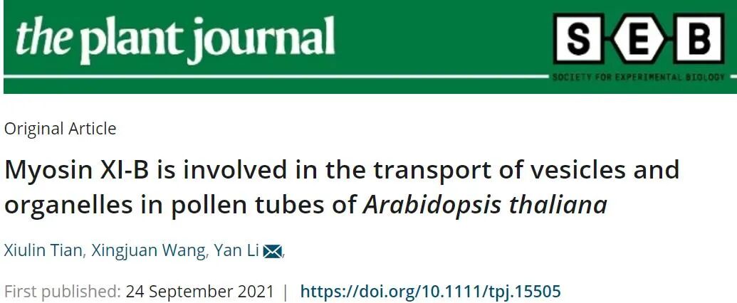 中国农业大学李岩课题组揭示肌球蛋白myosin Xi B调控花粉管顶端囊泡运输的作用机制 全网搜