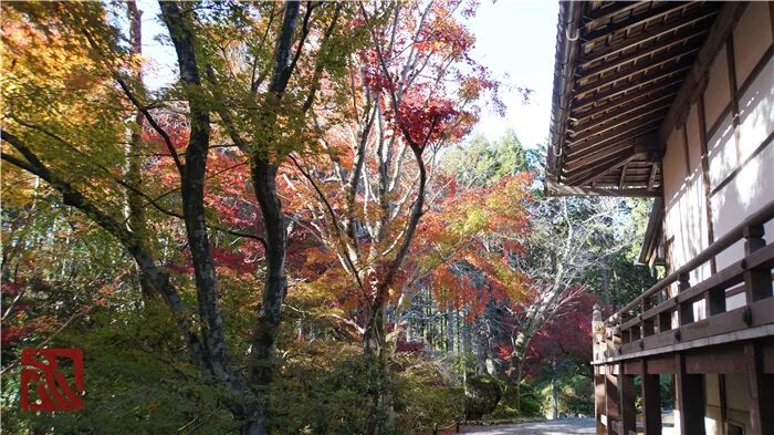 東瀛指爪 京都 北山 鷹峰三寺 常照寺 夕廬 微信公众号文章阅读 Wemp