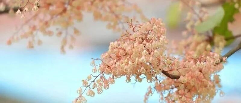 得体，比美貌更重要