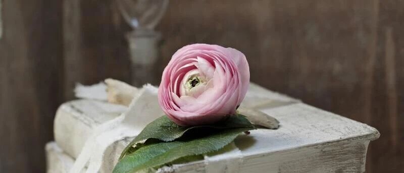 一个女人越活越好的7个迹象