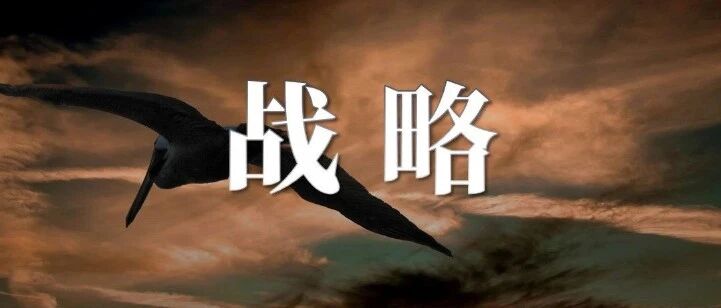 刘润：年底了，来聊聊到底如何制定明年的战略？