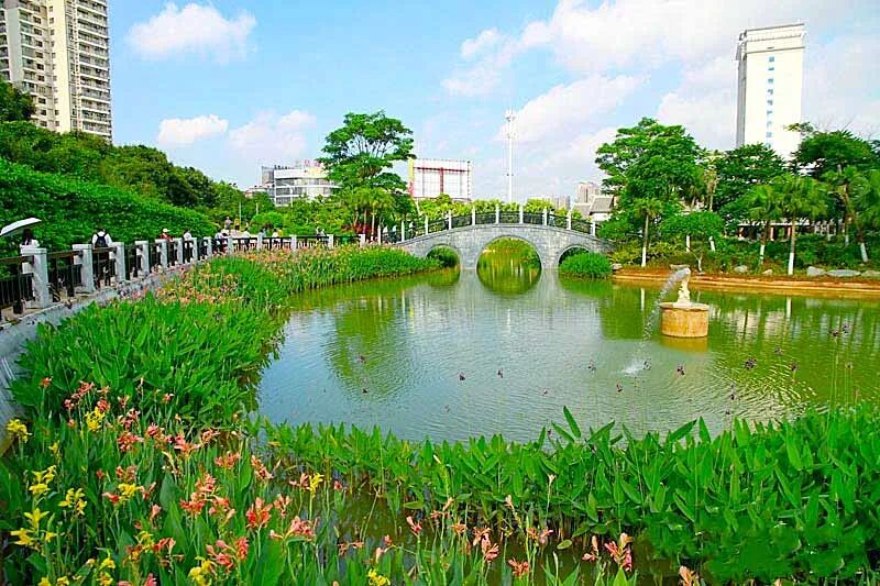 贵港191是什么医院财政部点名表扬！贵港入选！全广西仅两个..._https://www.jmylbn.com_新闻资讯_第25张