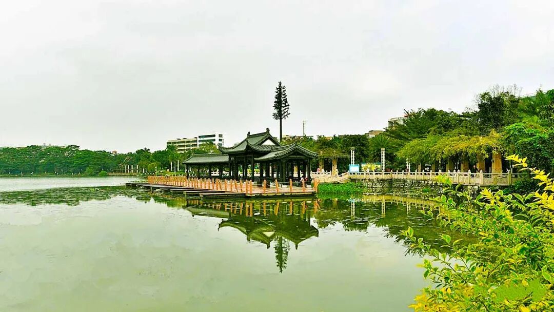 贵港191是什么医院财政部点名表扬！贵港入选！全广西仅两个..._https://www.jmylbn.com_新闻资讯_第21张