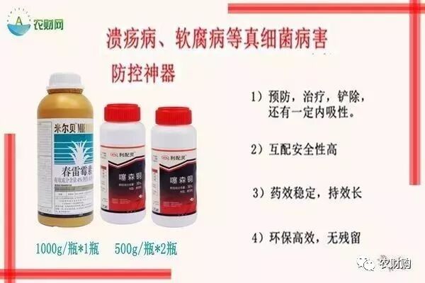 广西贺州农财购郑雪锋老师: 噻唑锌,春雷,中生,百泰等均是内吸!