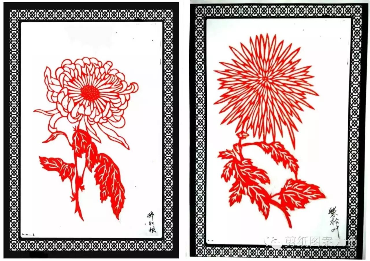 剪纸艺术雍容华贵长寿菊