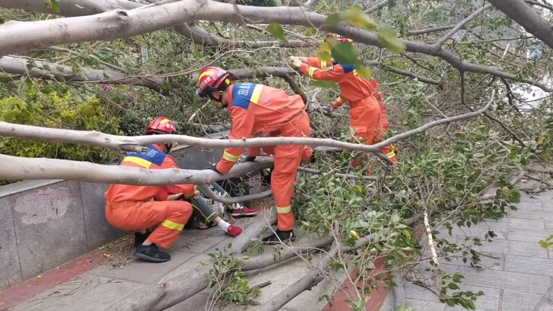 攀枝花西区天气