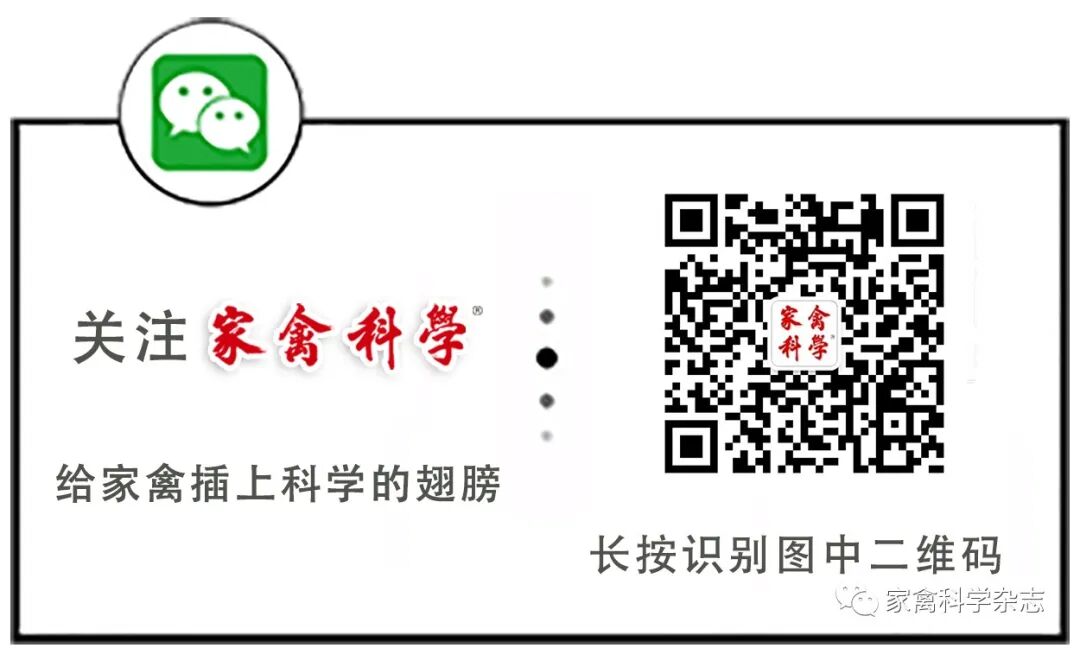 怎么约周围的鸡现代肉种鸡产蛋高峰后饲养管理关键控制点（下）_https://www.jmylbn.com_新闻资讯_第18张