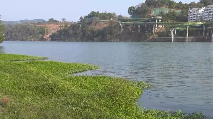 他至今记得,1975年前后,沙溪河已鲜有人敢下河游泳了.