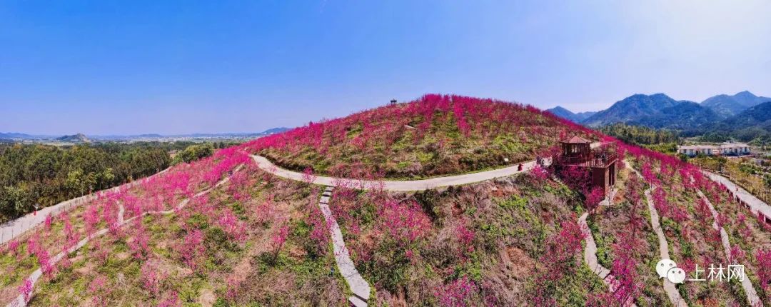 上林大庙江风景区图片