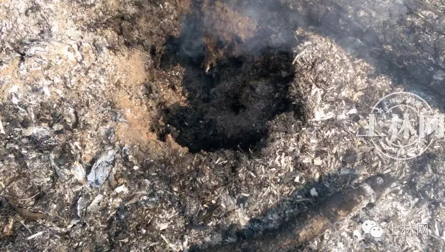 燃烧过后的植被化成灰烬,足已没过鞋面