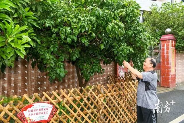 村民在门前小花园修剪花木。何森垚 摄