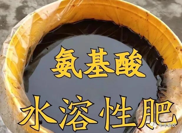 含氨基酸水溶肥料什么情况下用