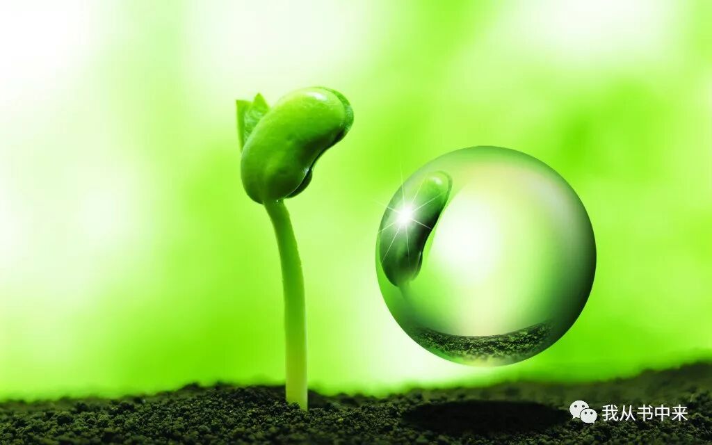 孔子育人何以这么厉害？