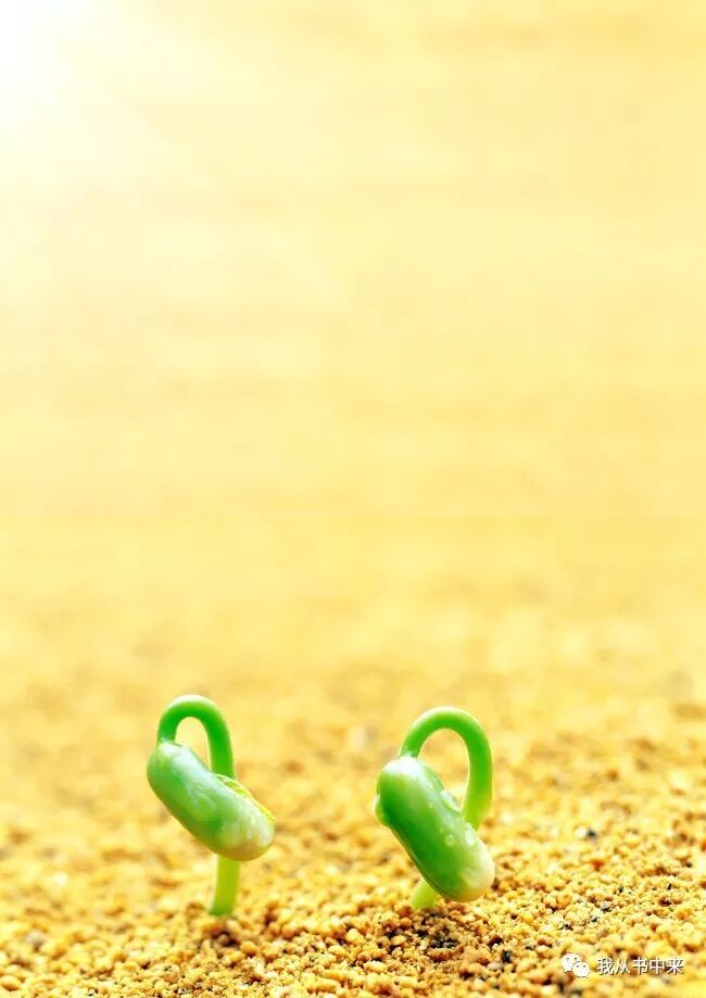 孔子育人何以这么厉害？