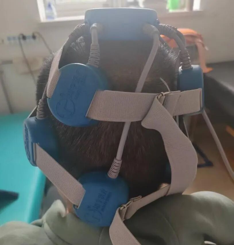 什么是频谱理疗仪疼痛反复，康复有方——四种物理治疗仪器，助您走出不适困扰_https://www.jmylbn.com_新闻资讯_第10张