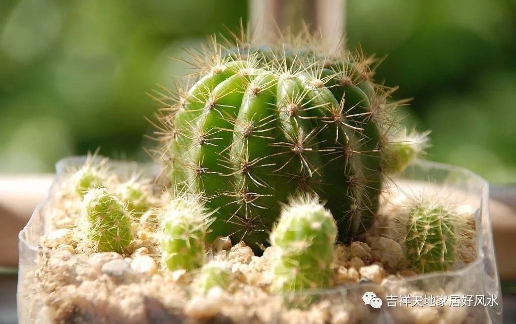 家有10种东西必破财_破财家里哪个方位出问题了_家里破财的东西