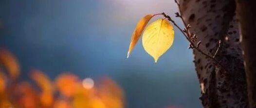 为自己打伞！（此文必读）