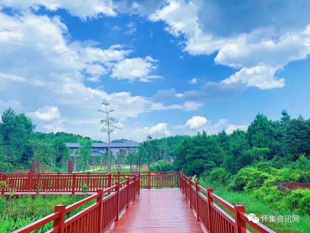 一探美景怀集国家湿地公园工程进度如何