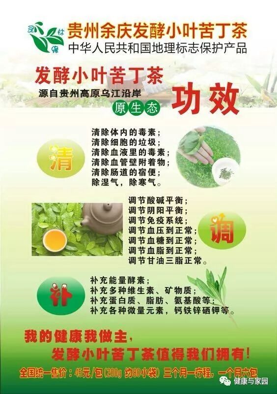 百姓福音茶 发酵小叶苦丁茶 健康与家园 微信公众号文章阅读 Wemp