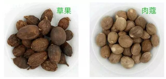 草果 肉蔻