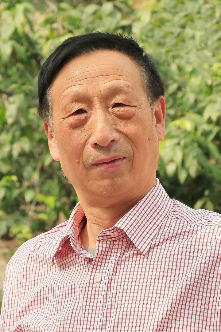 钟表齿轮零件_精密钟表齿轮_钟表齿轮