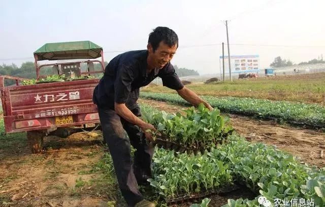 农村最火爆的小本创业项目_火爆创业项目_农村创业好项目