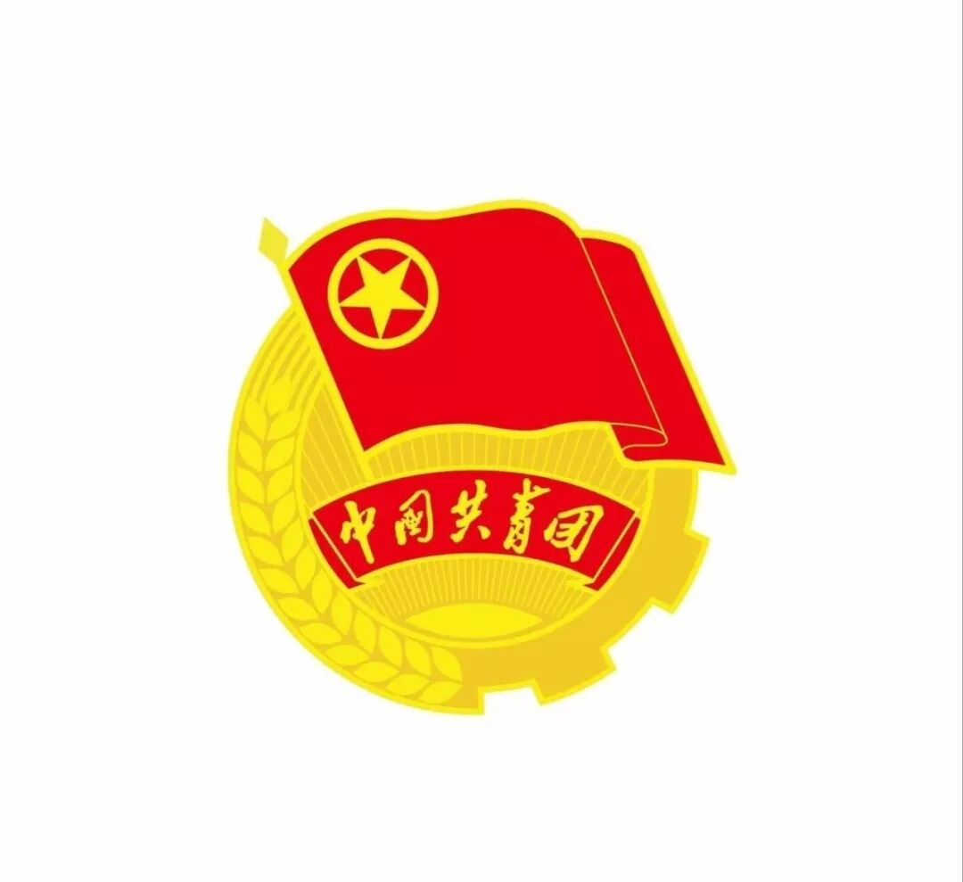 青年汇智团_青年团团徽_青年之声架起团青连心桥