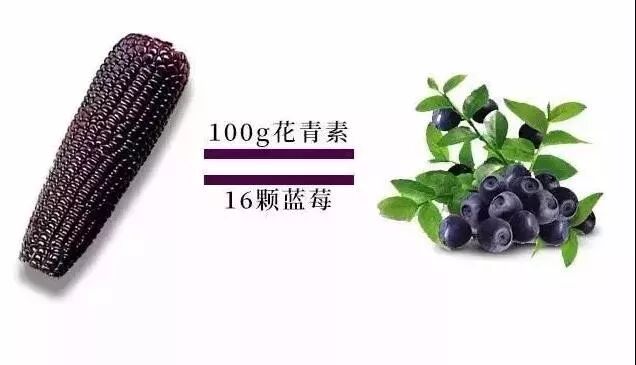 满满的花青素 又甜又糯的黑玉米 养颜瘦身必备 Yarra闪变大厨 微信公众号文章阅读 Wemp