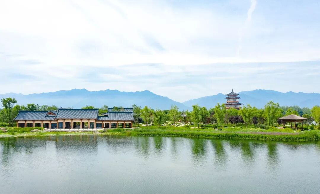 层林尽染"徜徉在山水最佳,涝河近旁的渼陂湖和穿着无数金黄连衣裙的