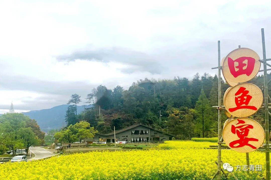 成功入选中国名村志文化工程日前,由青田县党史和地方志研究室向丽水