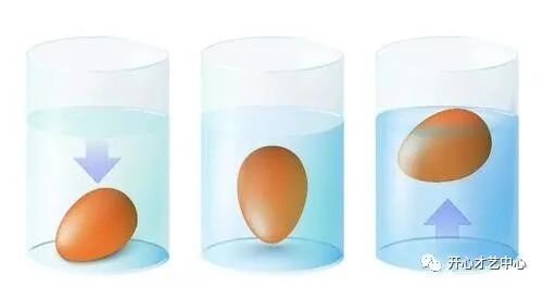 会游泳的鸡蛋是生的还是熟的_会游泳的鸡蛋_游泳后吃鸡蛋