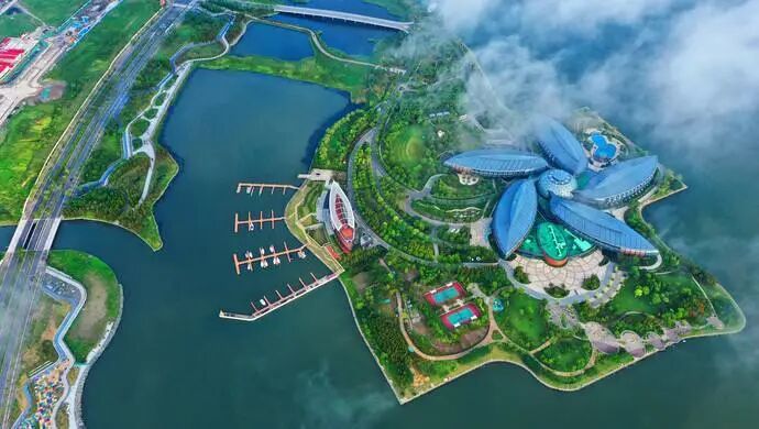 全程干货（中国上海自由贸易试验区临港新片区邮编）上海自贸区临港新片区管委会官网，(图4)