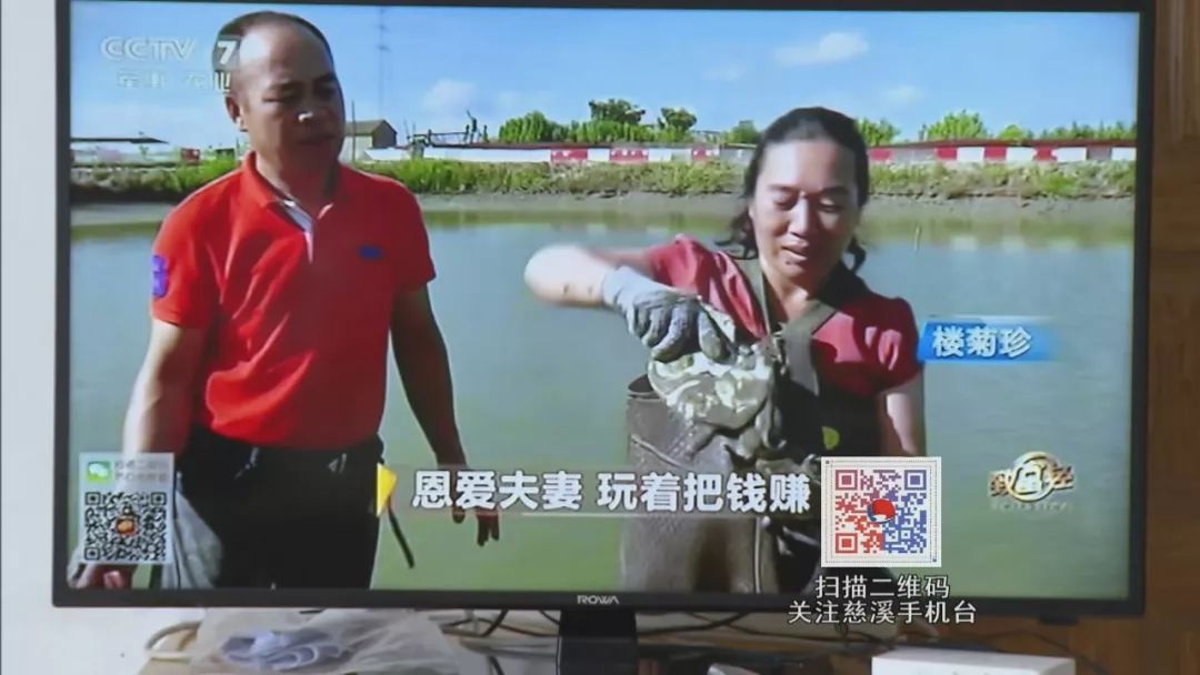 致富经甲鱼养殖视频_致富经甲鱼养殖技术视频_致富经甲鱼