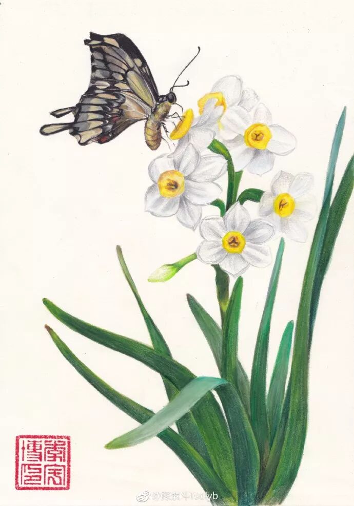 教程 彩铅画一株水仙花 轻松学彩铅画 微信公众号文章阅读 Wemp