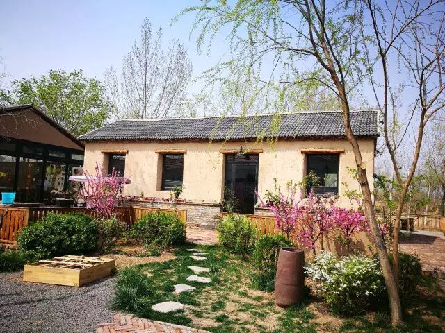 滨州特色民宿 魏集古村落半自由行2日游,你不想去看看?