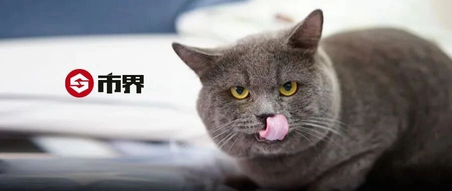 这届猫狗一年吞掉1300亿