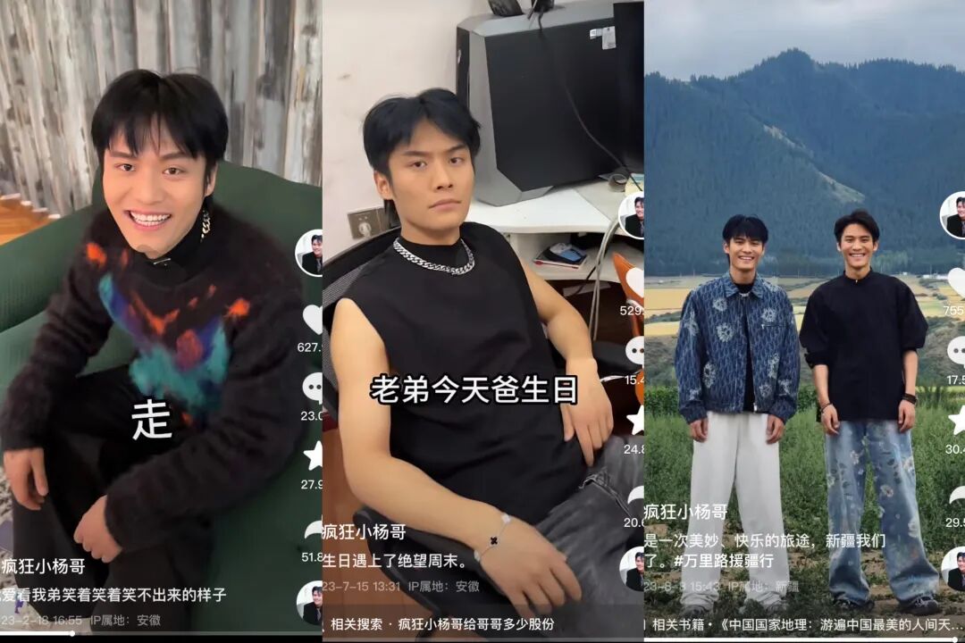 不装了！3000万的演唱会！小杨哥，喂饱了谁？